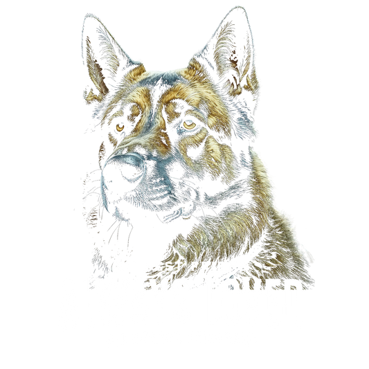 Always Missed DTF Transfer