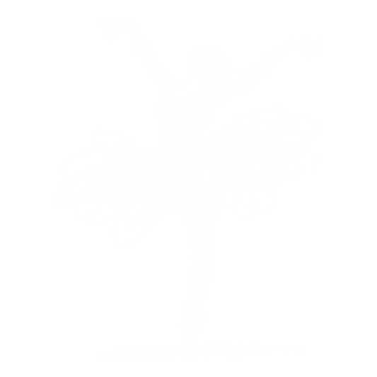 Ballerina DTF Transfer