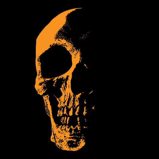 Black Skull Black Next-Level T-Shirt