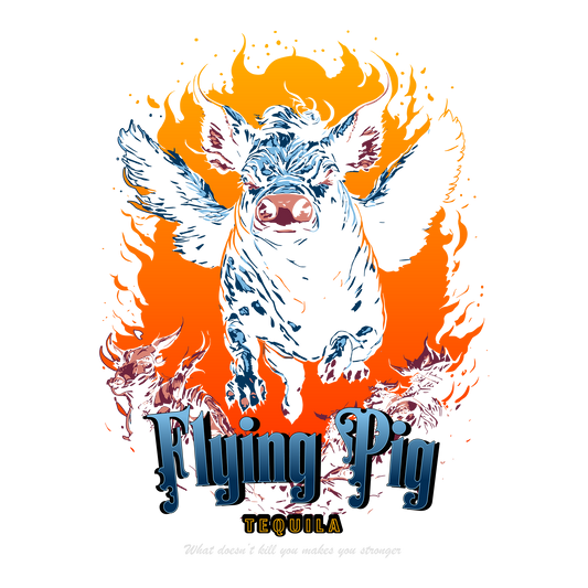 Flying Pig DTF Transfer