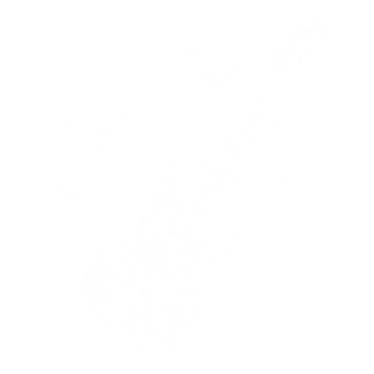 Guitar Elites DTF Transfer