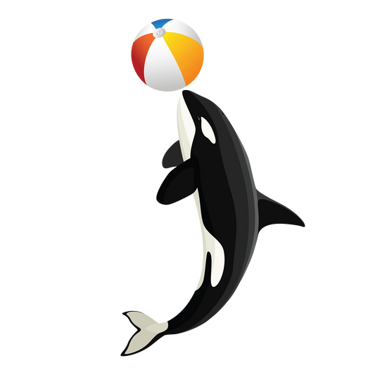 Let's Play Ball DTF Transfer