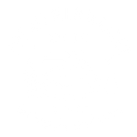 Looking for Rocks DTFTransfer