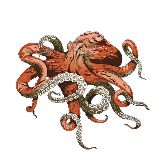 Super Squid DTF Transfer