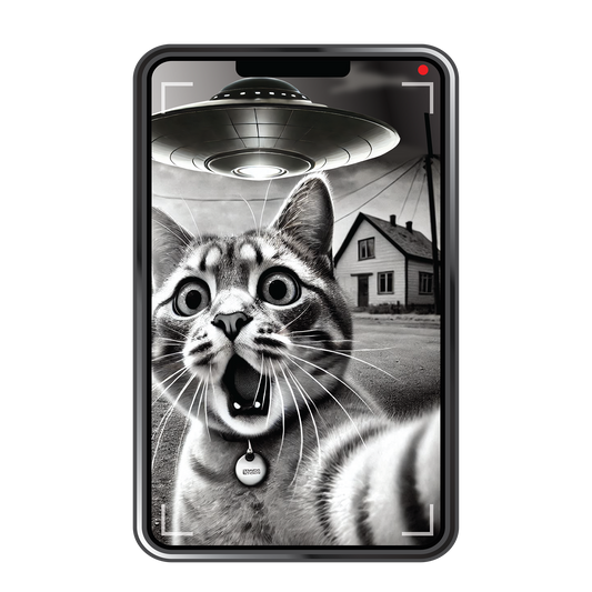 UFO Kitty DTF Transfer