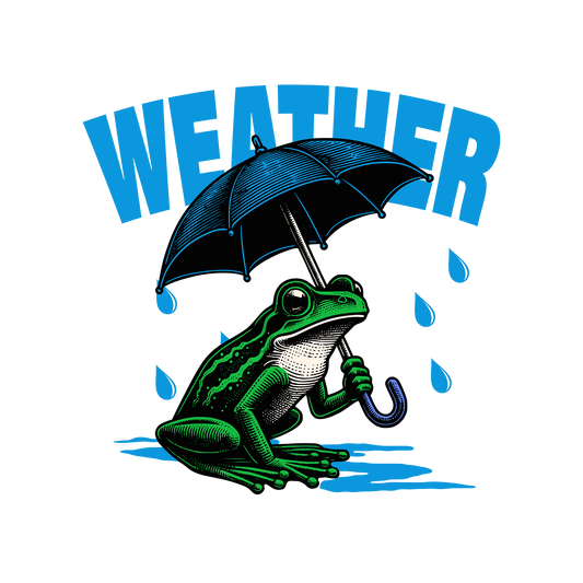 Weatherman DTF ransfer