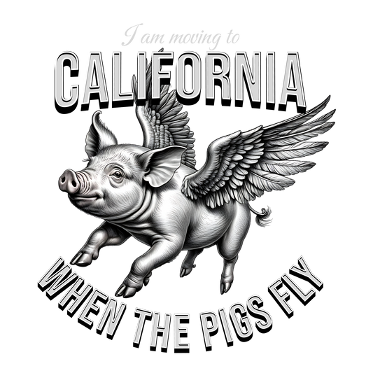 When Pigs Can Fly DTF Transfer