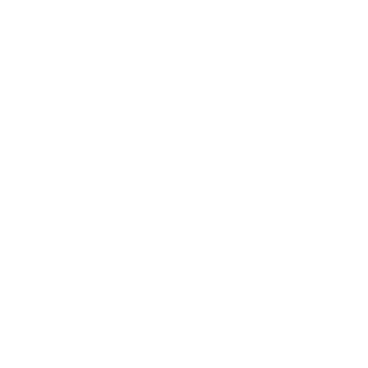 Where's the Boos DTF Transfer