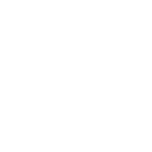 Baseball Player DTF Transfer