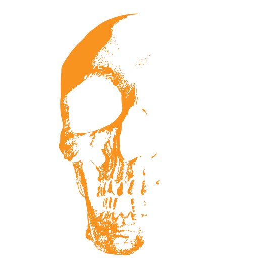 Black Skull DTF Transfer