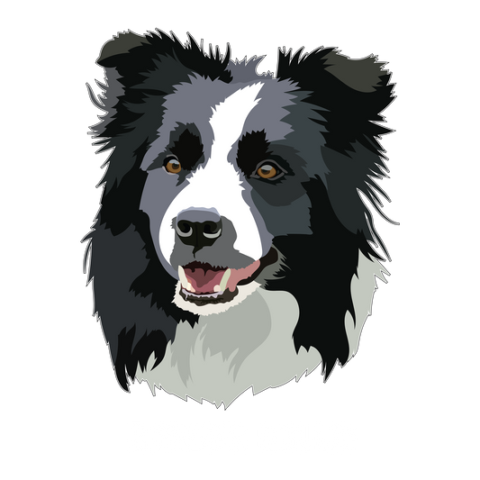 Border Collie DTF Transfer