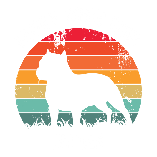 Bullies DTF Transfer