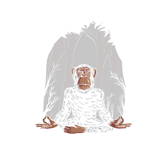 Chimp Yoga DTF Transfer