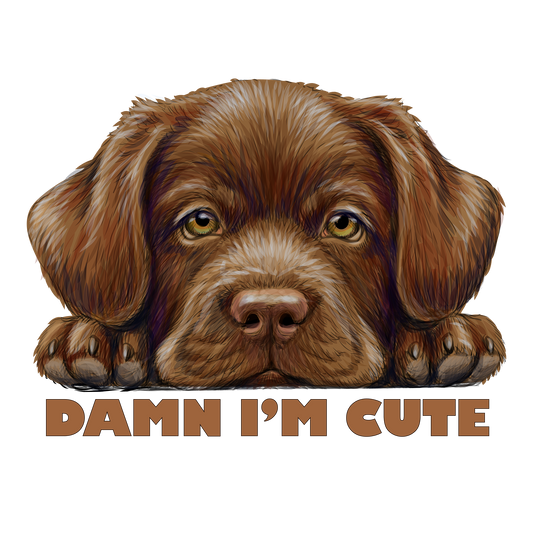 Damn I'm Cute DTF Transfer