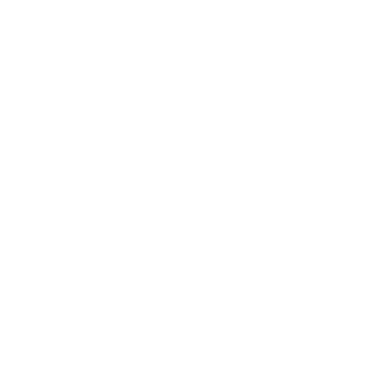 School Skull DTF Tranfer