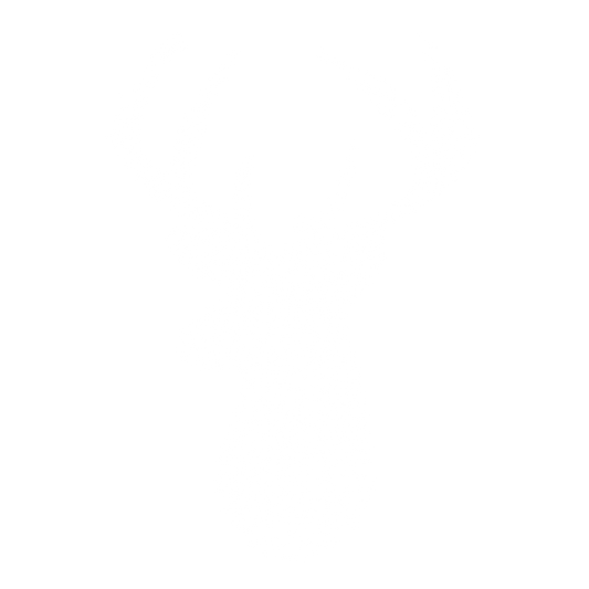 Deer Trunk DTF Transfer