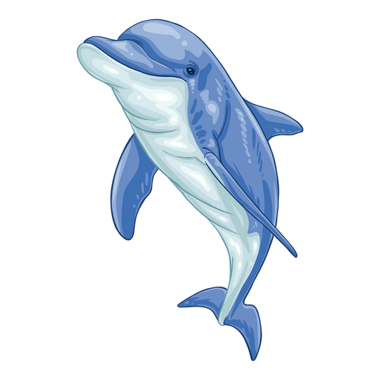 Dolphin DTF Transfer