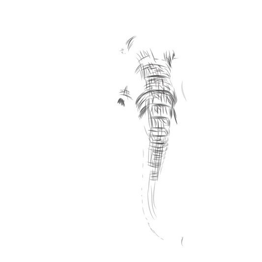 Elephant DTF Transfer