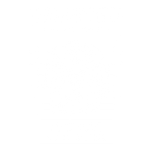 Ginger Havanese DTF Transfer