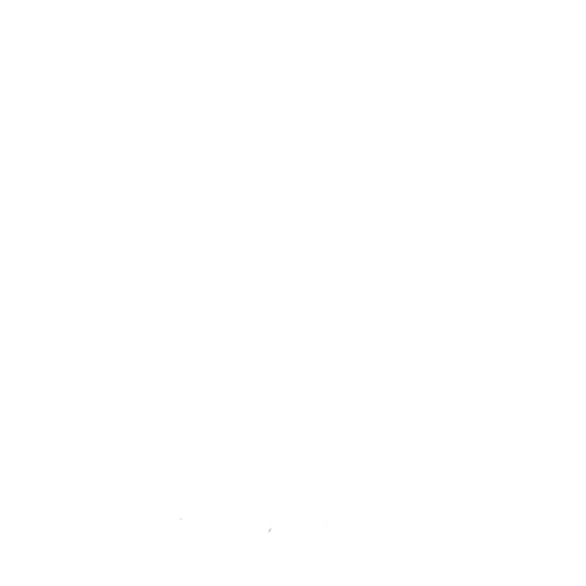 Grizzly DTF Transfer