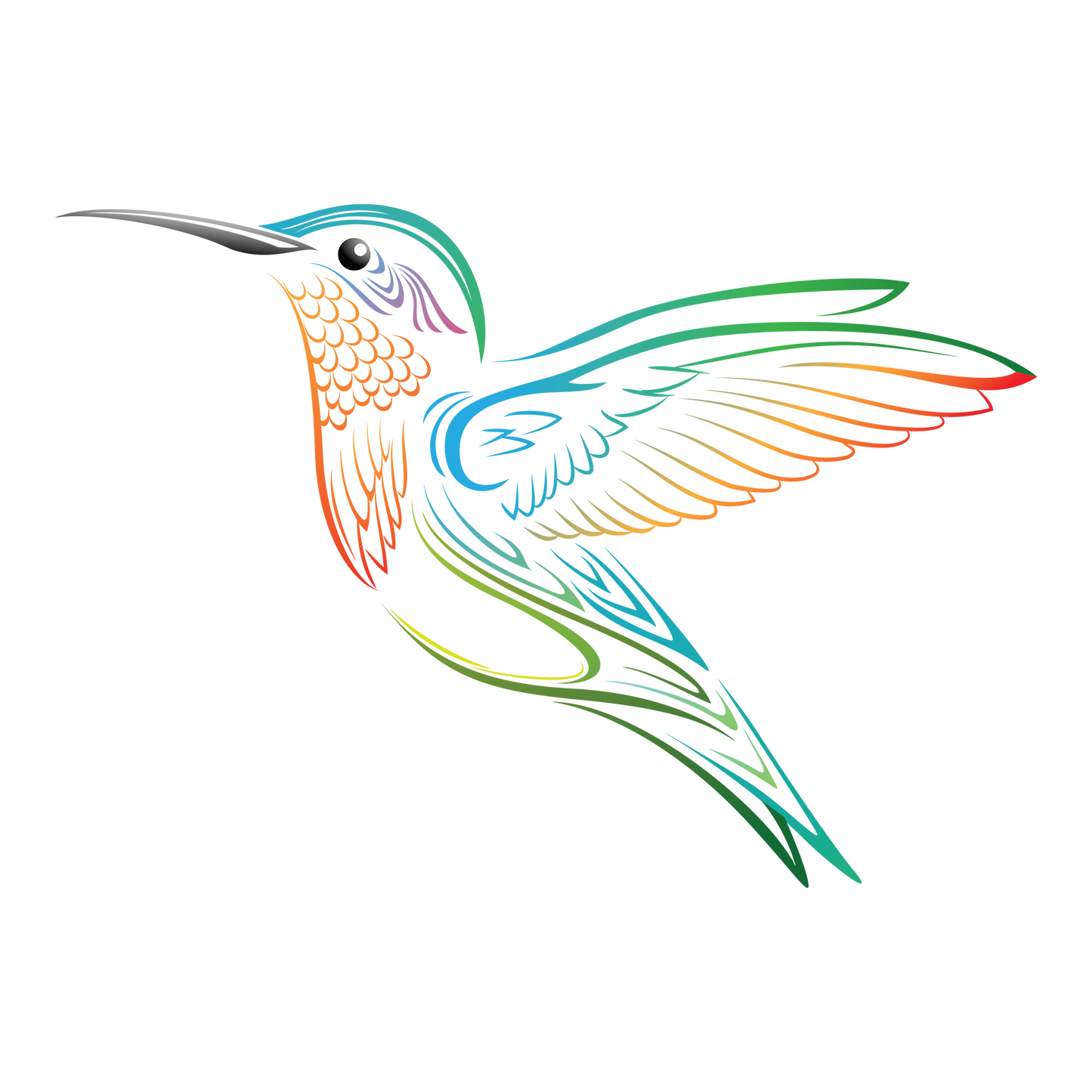 Hummingbird DTF Design
