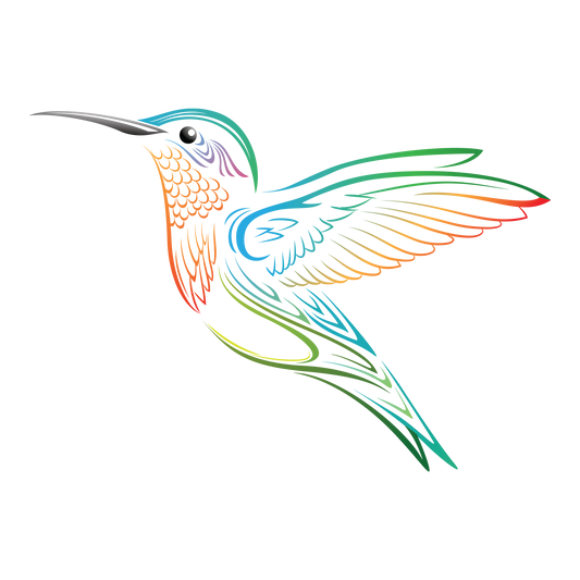 Hummingbrid DTF Transfer