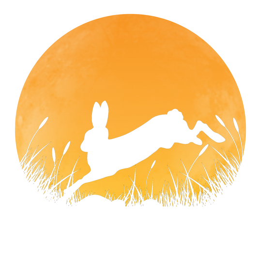 Jack Rabbit DTF Transfer