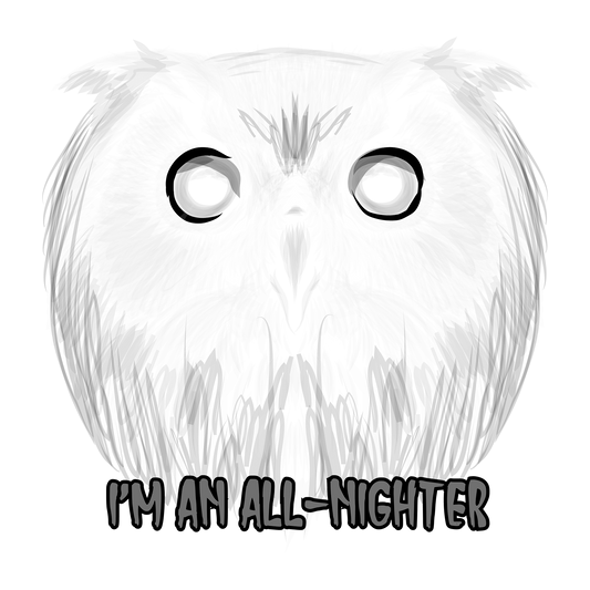 Night Owl DTF Transfer