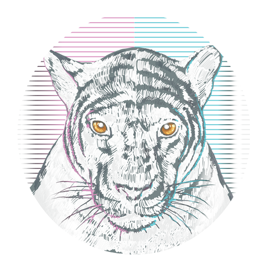 Panther DTF Transfer