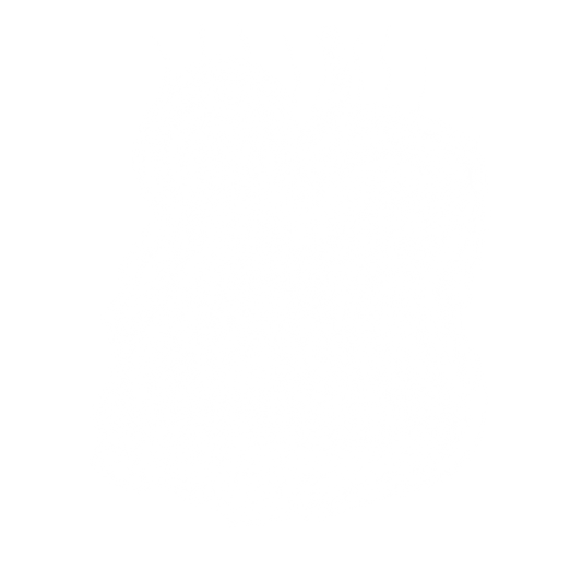 Polar Bear DTF Transfer