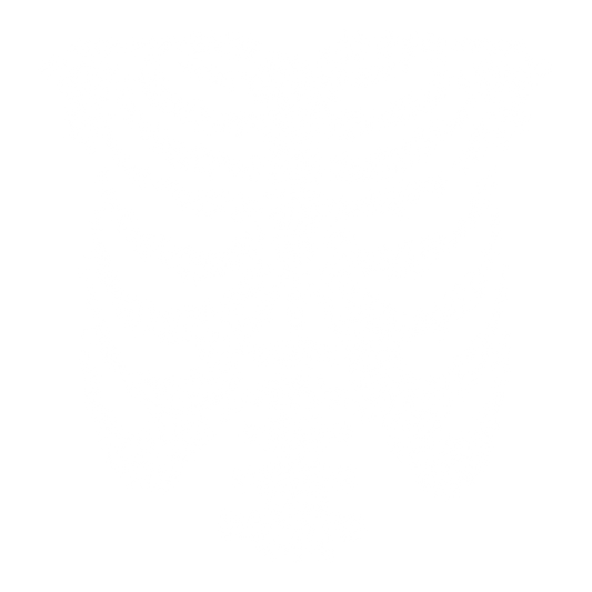 Rib Cage DTF Transfer