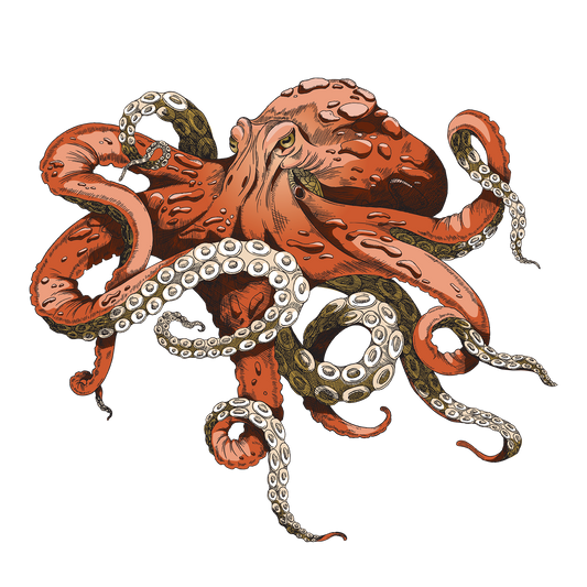 Super Squid DTF Transfer