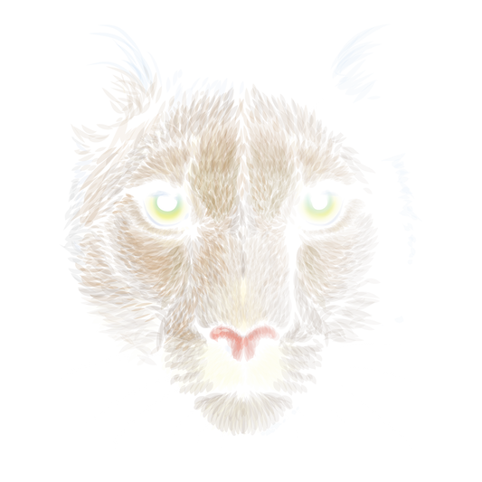 Unpredictable DTF Transfer