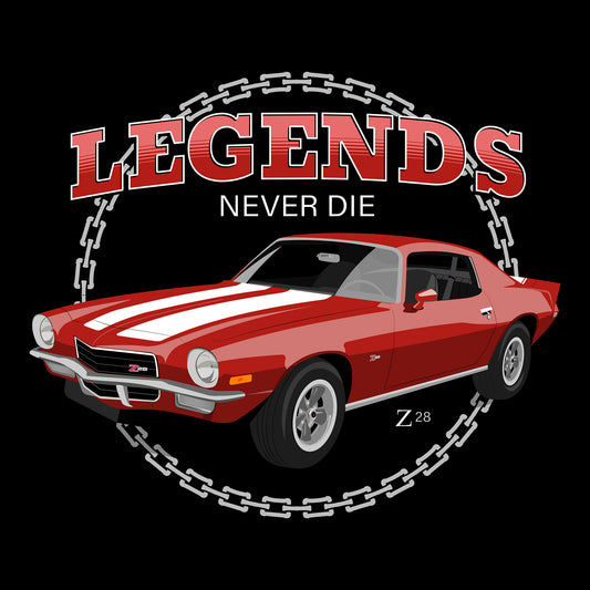 72 Flame Orange Chevy Camaro Z28 DTF Transfer