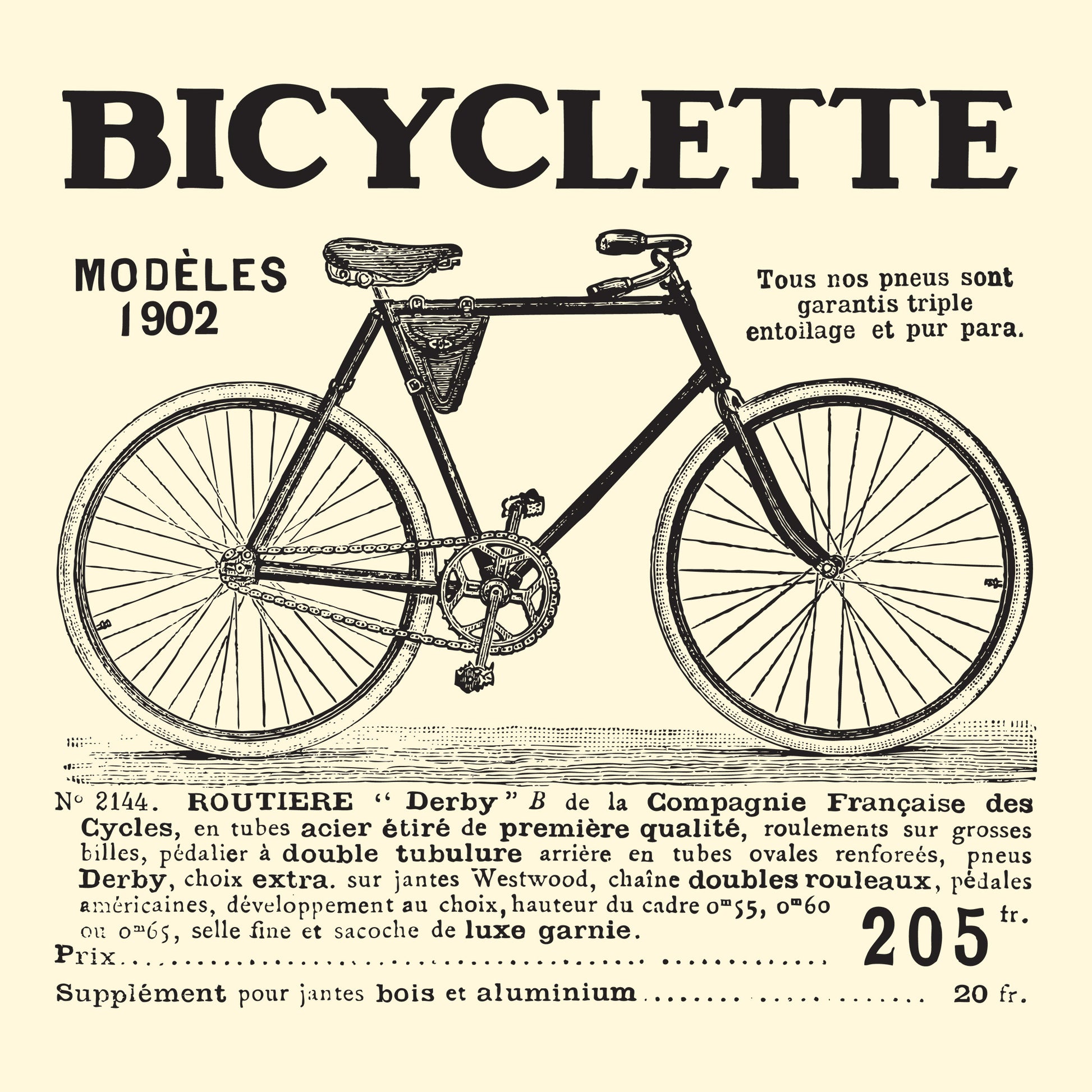 Bicyclette DTF Transfer