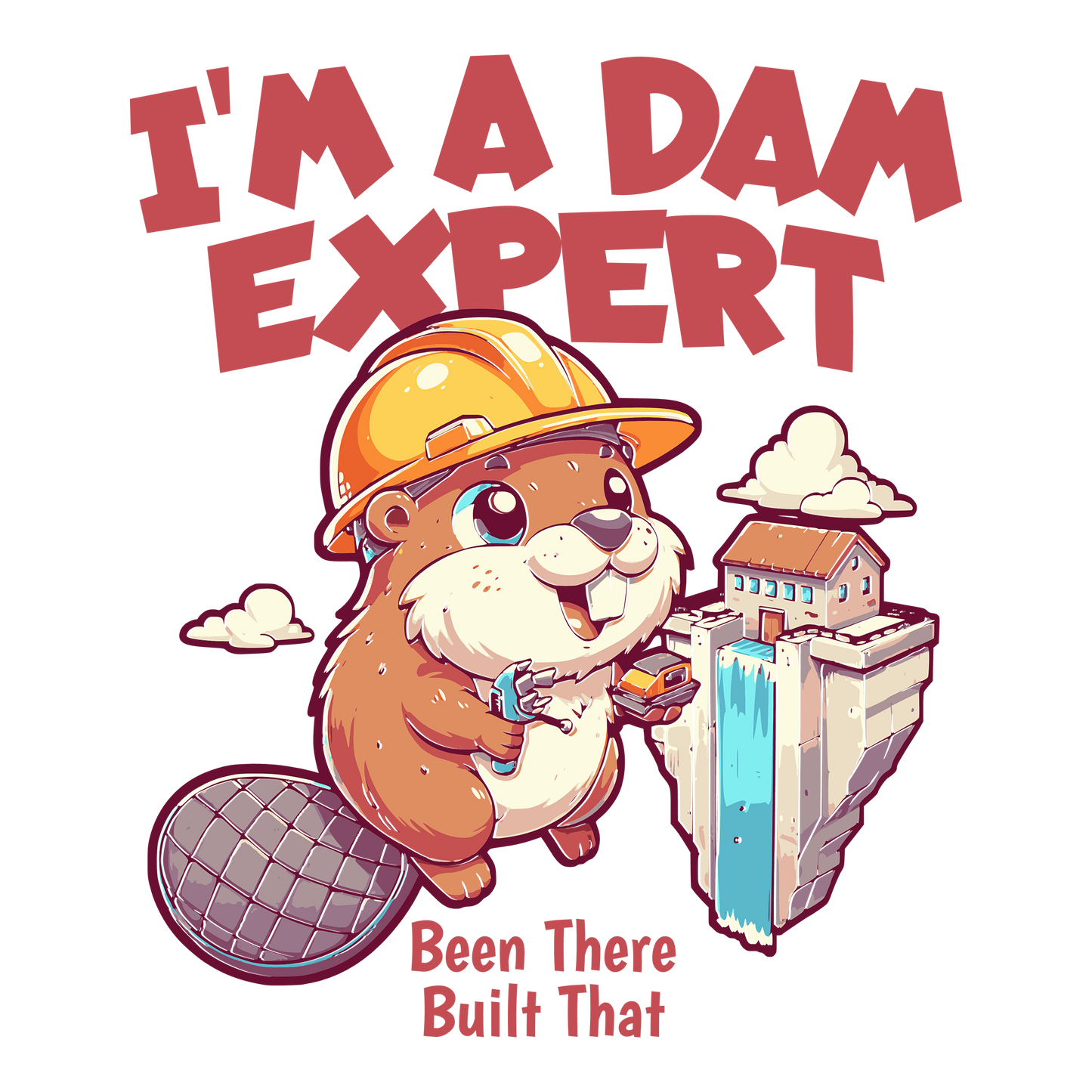 Dam Expert Design