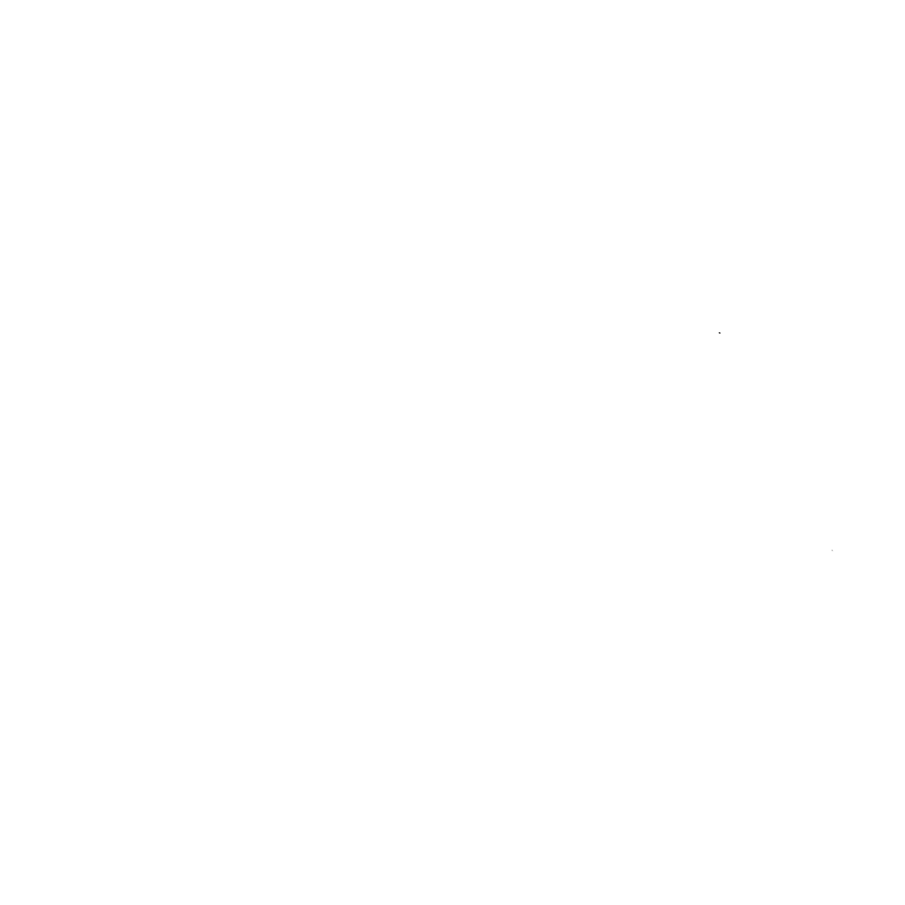 Drunk Wives Matter DTF Tee