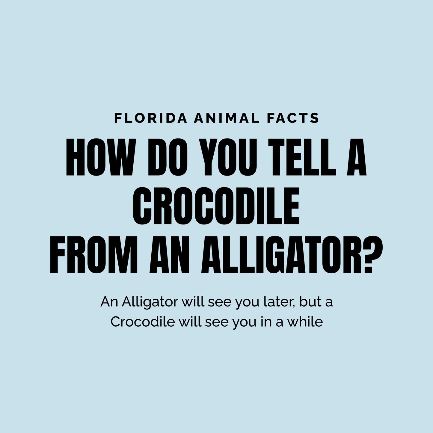 Florida Animal Facts Black Ink DTF Transfer