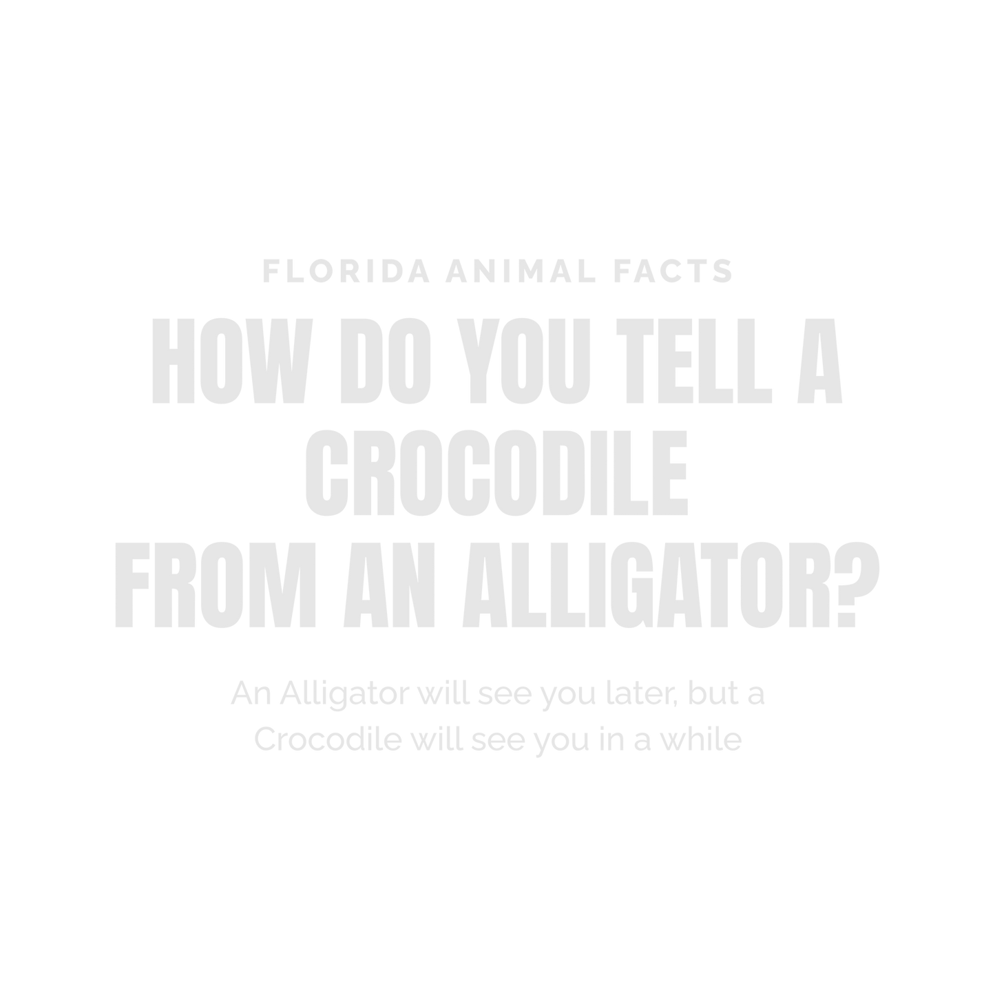 Florida Animal Facts White Ink DTF Design