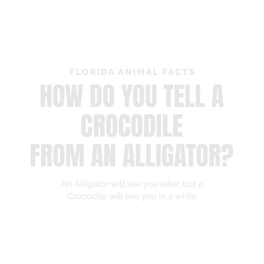 Florida Animal Facts White Ink DTF Transfer