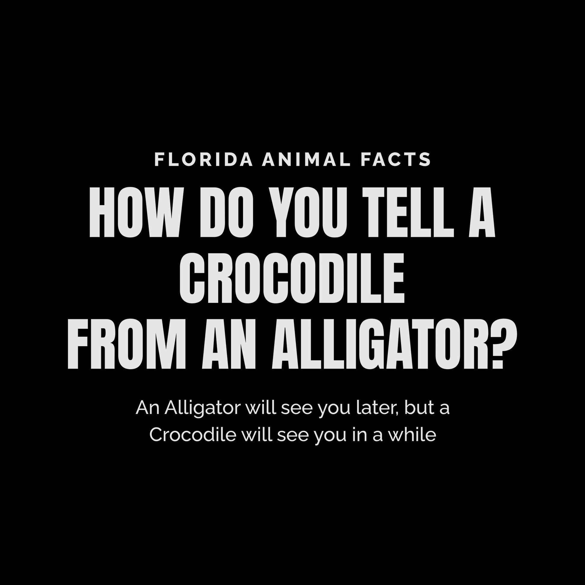 Florida Animal Facts White Ink DTF Transfer