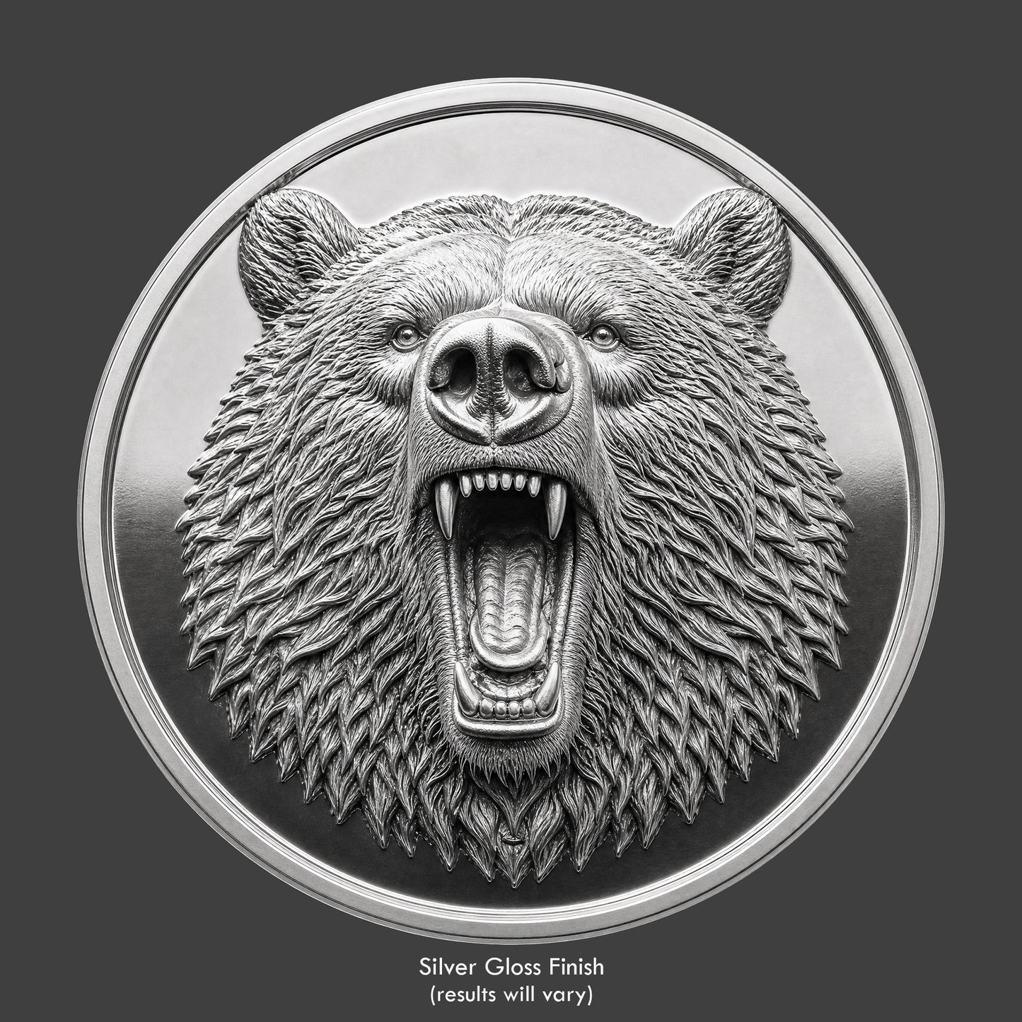 A silver finished, resin sculpted coin of a grizzly bear