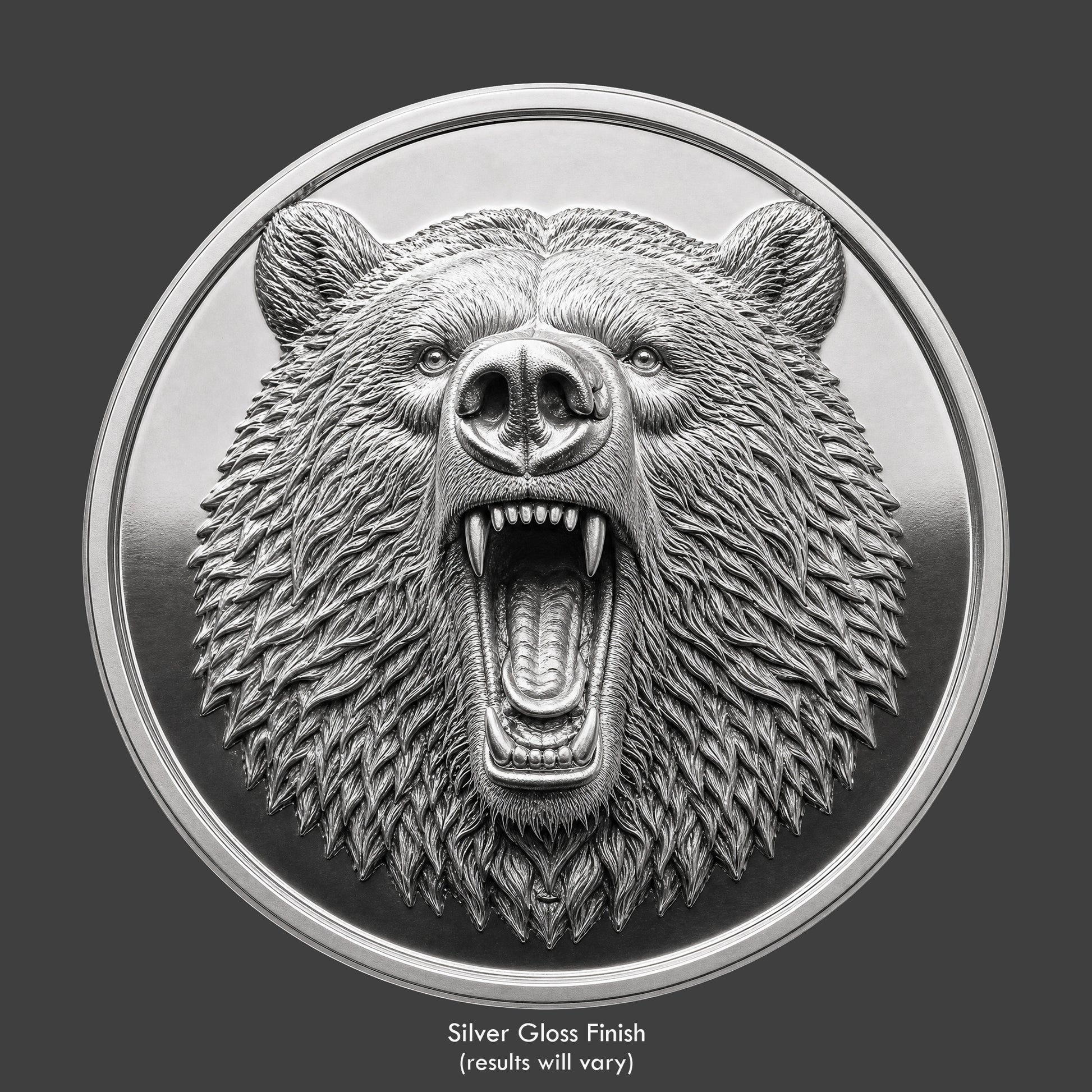 A silver finished, resin sculpted coin of a grizzly bear