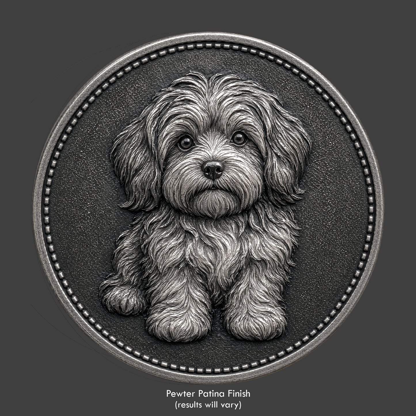 A havanese puppy on a pewter coin