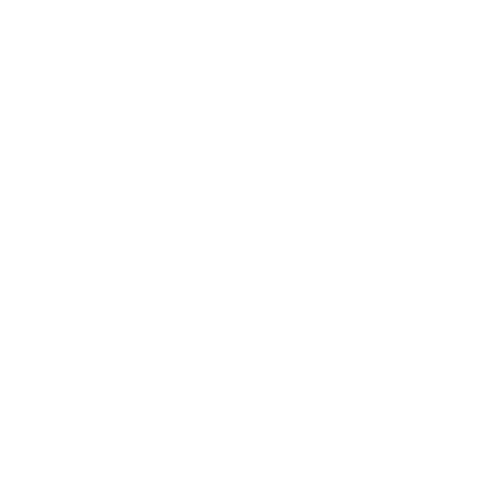 License and Registration DTF Transfer