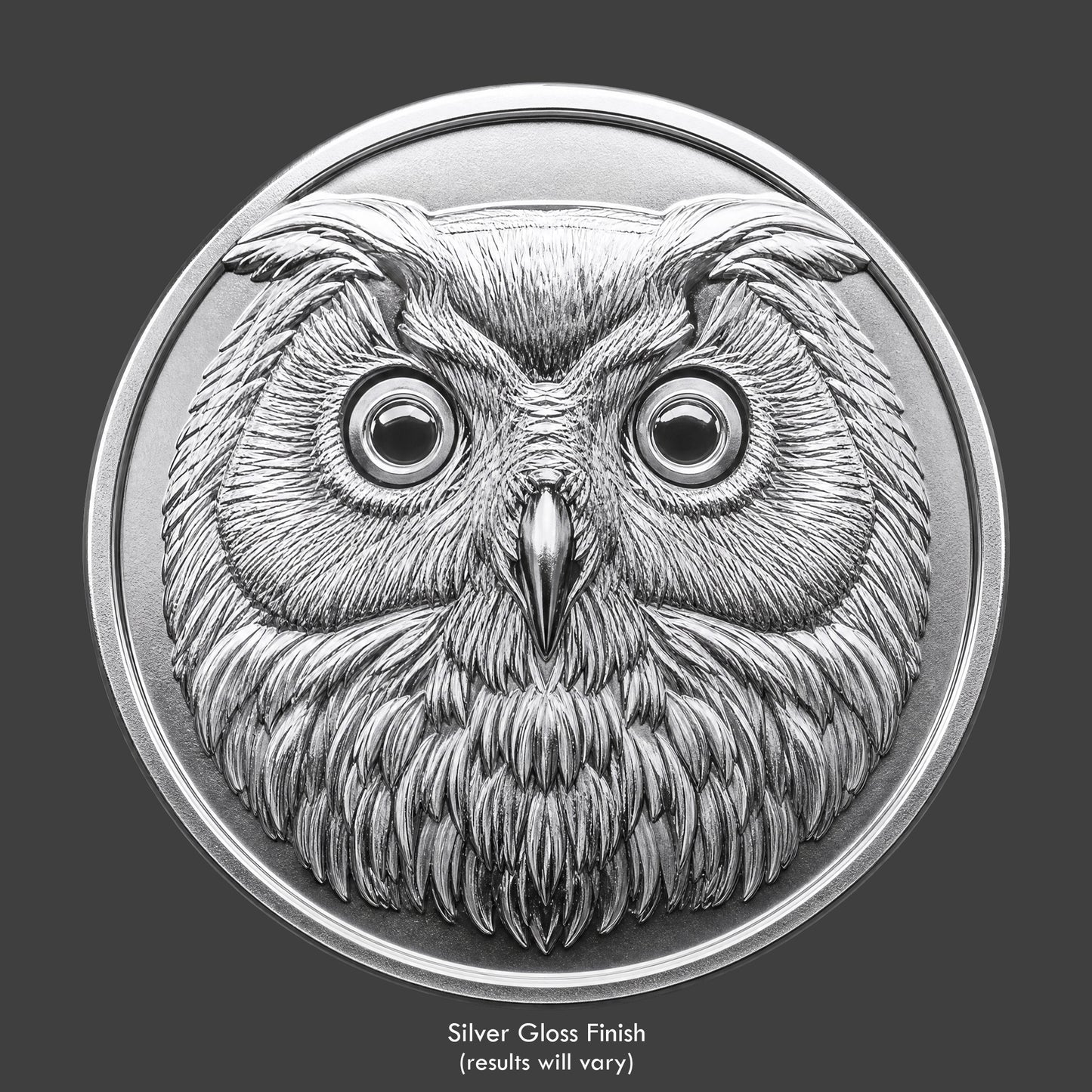 A silver finished, resin sculpted coin of an night owl
