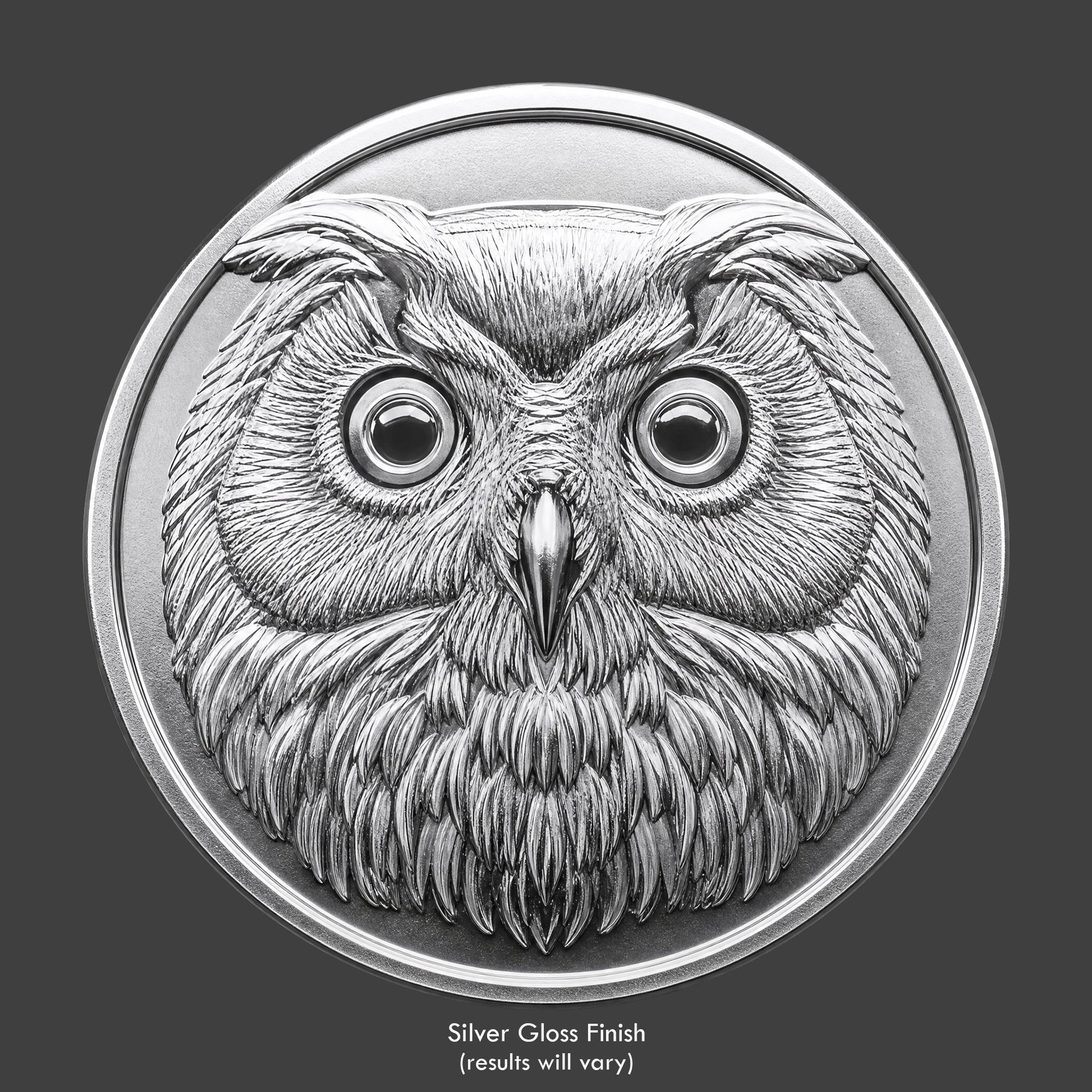 A silver finished, resin sculpted coin of an night owl