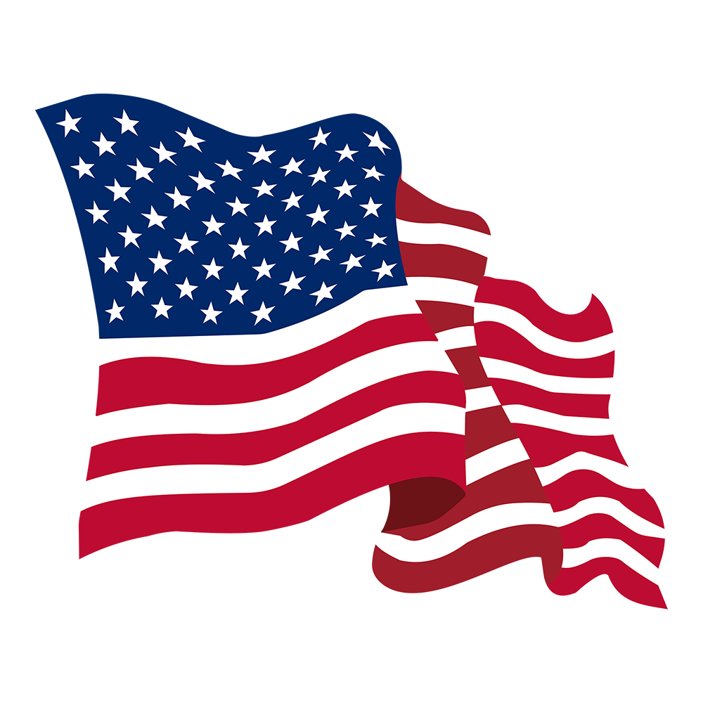 USA Waving Flag DTF Tee