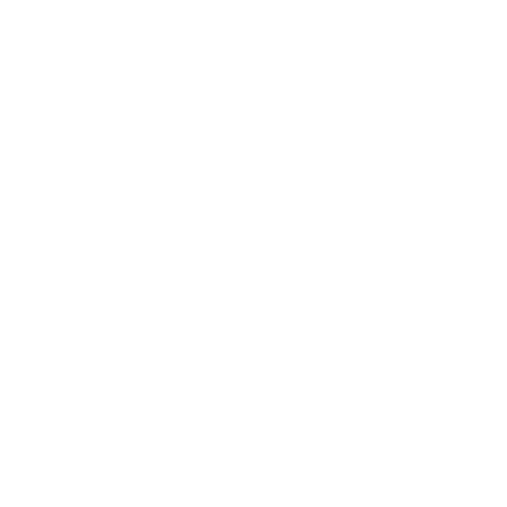 Vicious Beast Camaro Dictionary DTF Tee