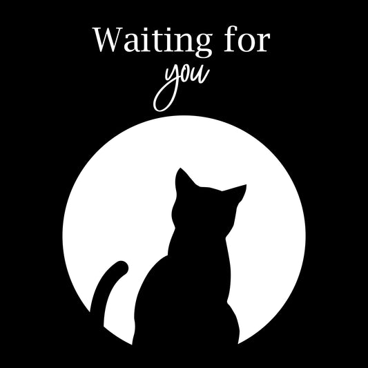 Waiting For You Cardinal Next Level T-Shirt